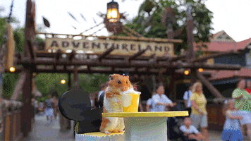 best day ever hamster GIF by Disney