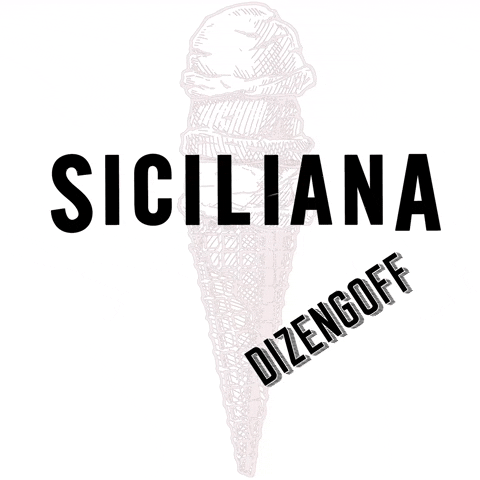 Icecream Gelato GIF by Gelateria Siciliana brand