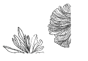 Loop Body Sticker