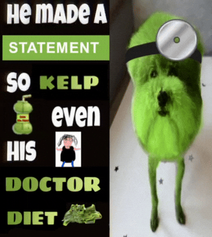 Kelp Krew He Made A Statement GIF