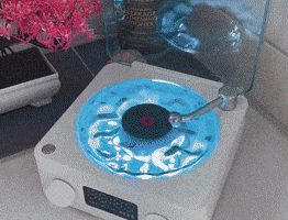 Animated GIF