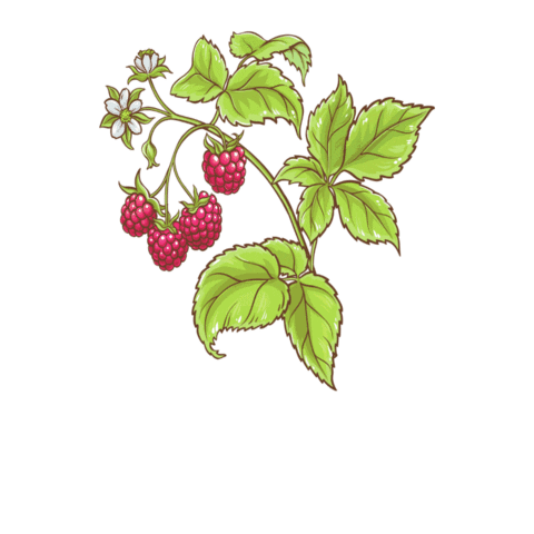 Morandina Sticker