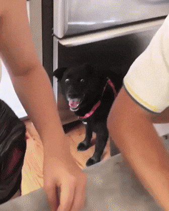 Oh My God Reaction GIF by moodman