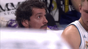 happy real madrid GIF by ACB