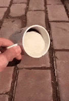 Bunny Cup GIF by MOODMAN