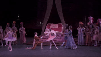 sleeping beauty castle GIF by New York City Ballet