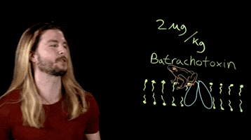 poison ivy batman GIF by Because Science
