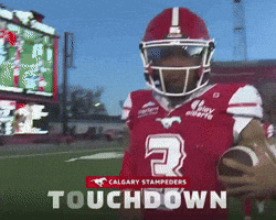 Camera Celebrate GIF