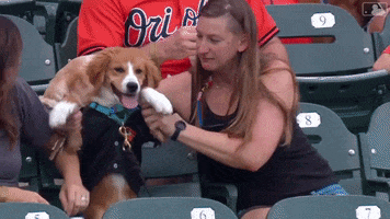 dogs orange GIF by Baltimore Orioles