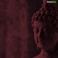 Lord Buddha Peace GIF by Couponmoto