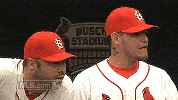 st. louis cardinals baseball GIF by MLB