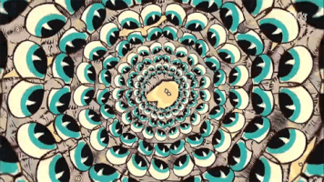 GIF by Tracks ARTE