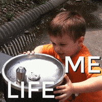 Life Vs Me GIFs - Get the best GIF on GIPHY