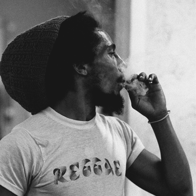 goodtimes GIF by Bob Marley