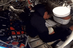 Nasa Nutella GIF