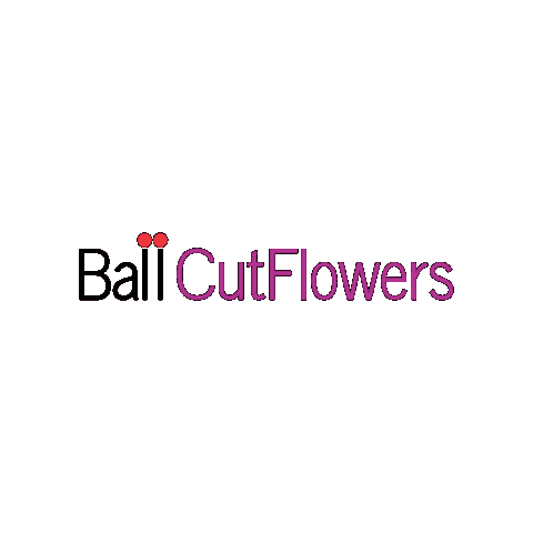 Cut Flowers Sticker by Ball Horticultural Co