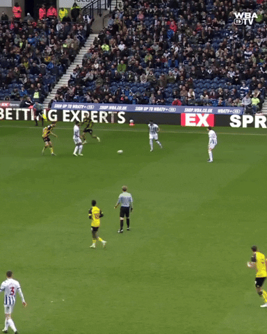 West Brom Football GIF by West Bromwich Albion