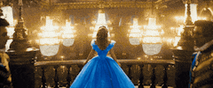 disney princess cinderella GIF by Disney