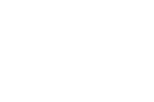 Best Friends Sticker