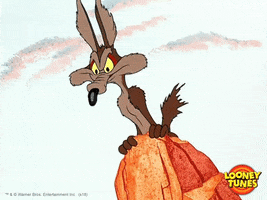 Looking For Wtf GIF by Looney Tunes