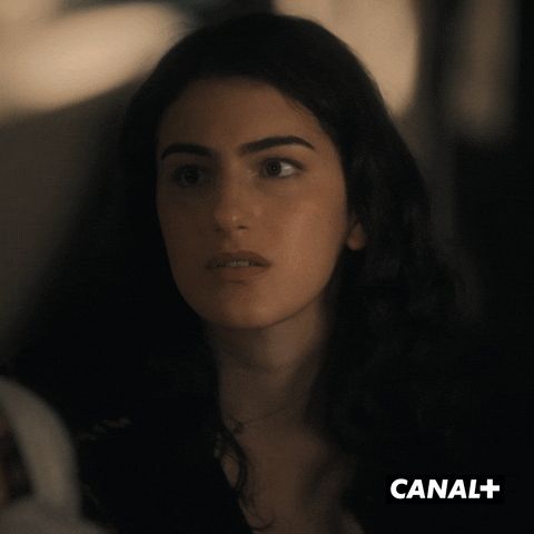 Tv Show Serie GIF by CANAL+