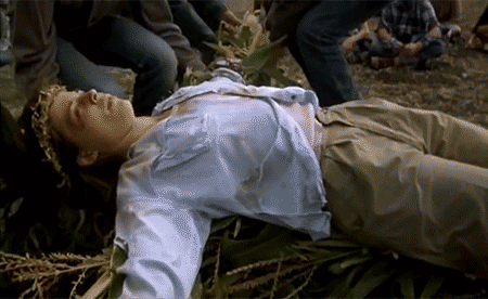 Children Of The Corn Sacrifice GIF by Shudder - Find & Share on GIPHY