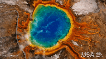 America Wild Film GIF by Visite os USA