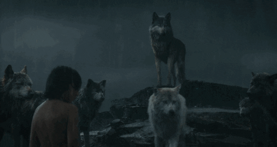 Image result for jungle book movie gif