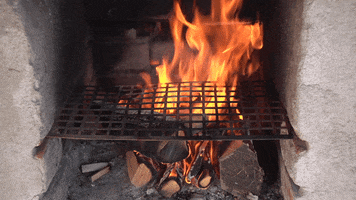 airisaastamoinen #nuotio #tuli GIF