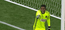 andre blake pointing GIF by Philadelphia Union