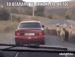 onemanstories onemanstories GIF