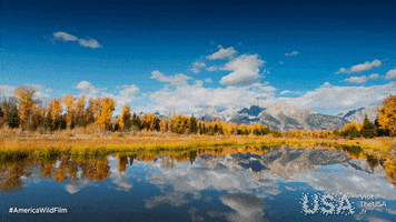 America Wild Film GIF by Visit The USA FR