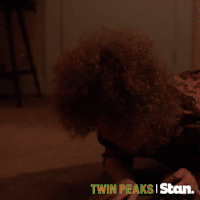 twin peaks GIF by Stan.