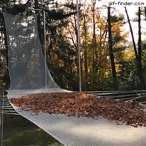 gurg3na leaves GIF