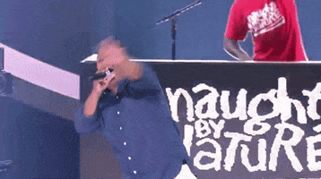 Naughty By Nature GIF by VH1 Hip Hop Honors
