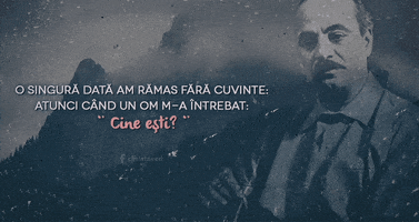 christaeed  GIF