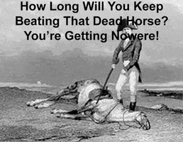 jlh243suddenlinknet beating a dead horse getting nowhere GIF