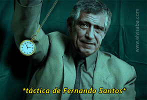 viselaba portugal euro 2016 uefa euro fernando santos GIF