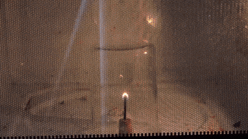 alisun  GIF