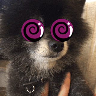 crazy eyes GIF by GIPHY CAM