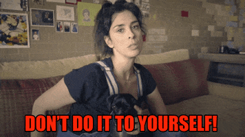 sarah silverman dont do it to yourself GIF by Lil Dicky