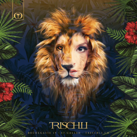 pleasure trischli tropical safari GIF