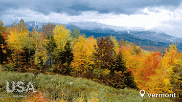 Vermont GIF by Go USA Jp