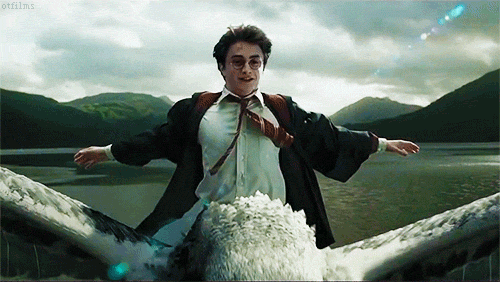 Flying Harry Potter GIF by The Story Room - Find & Share on GIPHY