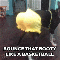 booty dancing GIF