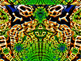 200.gif?cid=fc005b08761227d8f7746f9dd7dc45ac06e3046cbeb875b0&rid=200.gif&ct=g