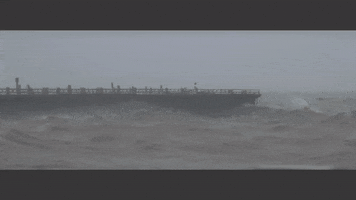 pabloabate  GIF