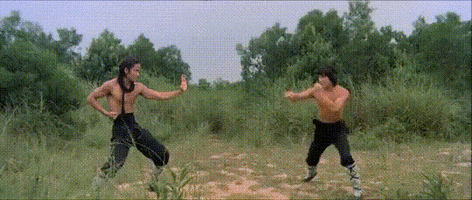 Martial Arts Fight GIF by Shaw Brothers