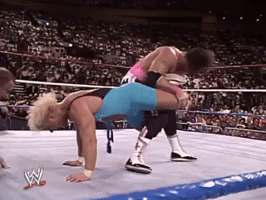 WWE sports wwe wrestling summerslam GIF