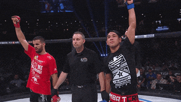 mma celebrate GIF by Bellator